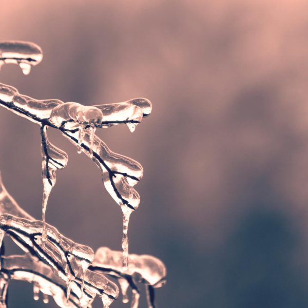 Ductless Heat Pumps Built for Ottawa Winters