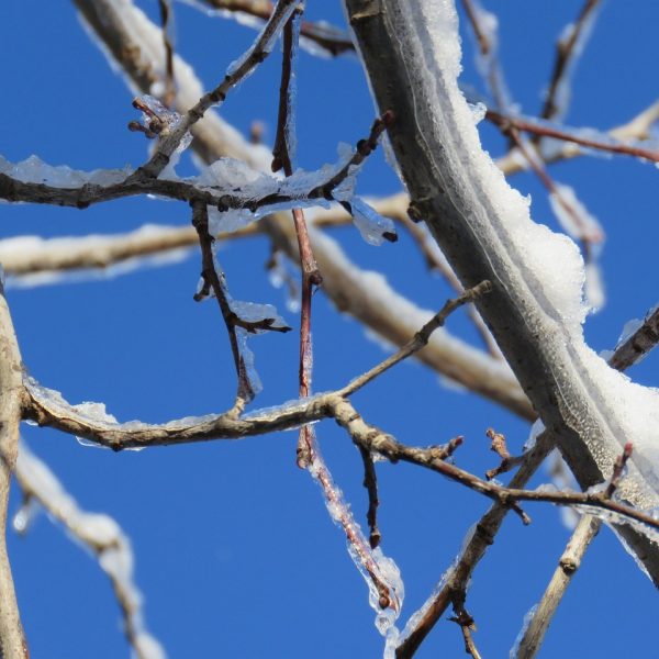 Heat Pump Installation Ottawa Built for Ottawa Weather